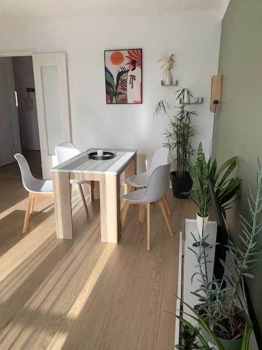 Appartement Le 48 Narbonne Eksteriør bilde